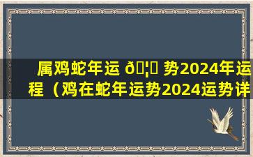 属鸡蛇年运 🦁 势2024年运程（鸡在蛇年运势2024运势详解）